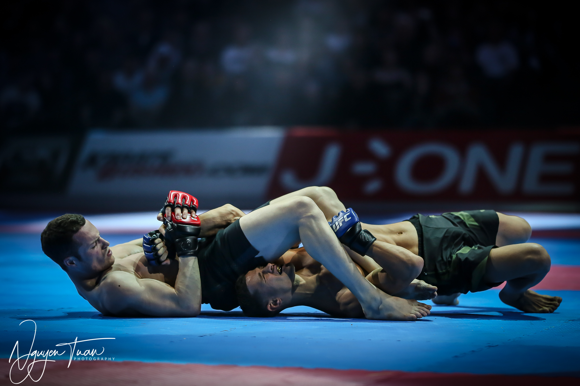 20190324 Festival des Arts Martiaux 5134